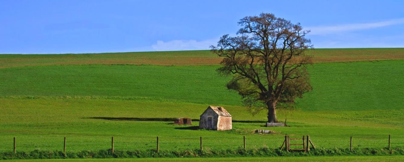 1英国商科的独特优势 1英国商科的独特优势