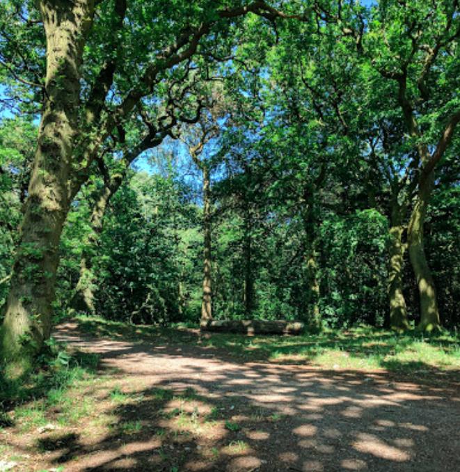 3毕业论文导师 Dissertation utor