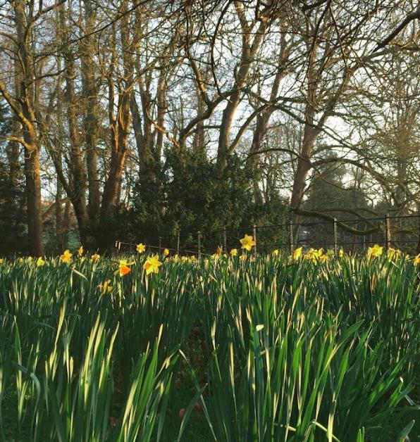 2英国商科专业介绍 2英国商科专业介绍