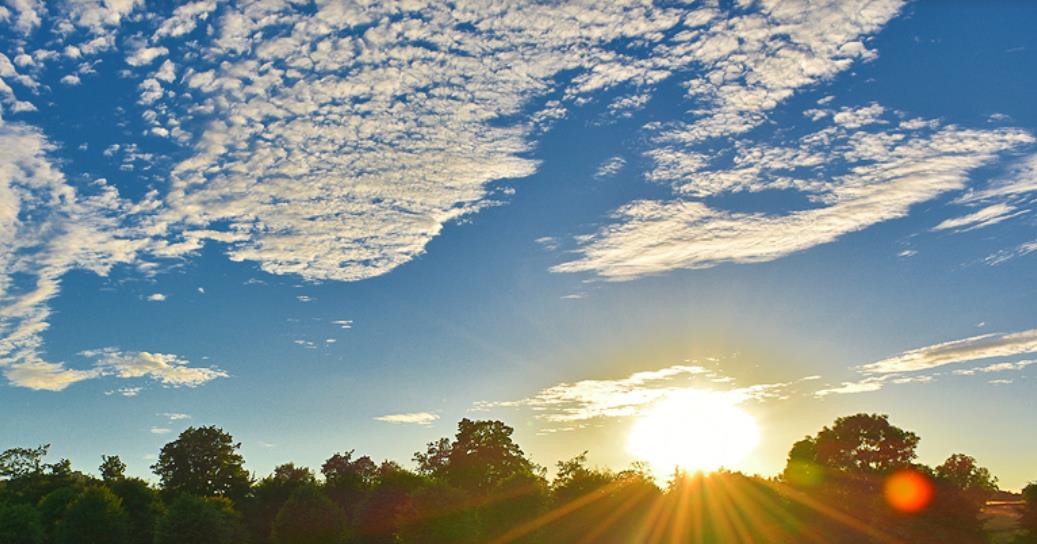 . UCL( University College of London) . UCL( University College of London)