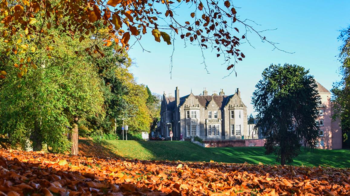 网络通话 网络通话