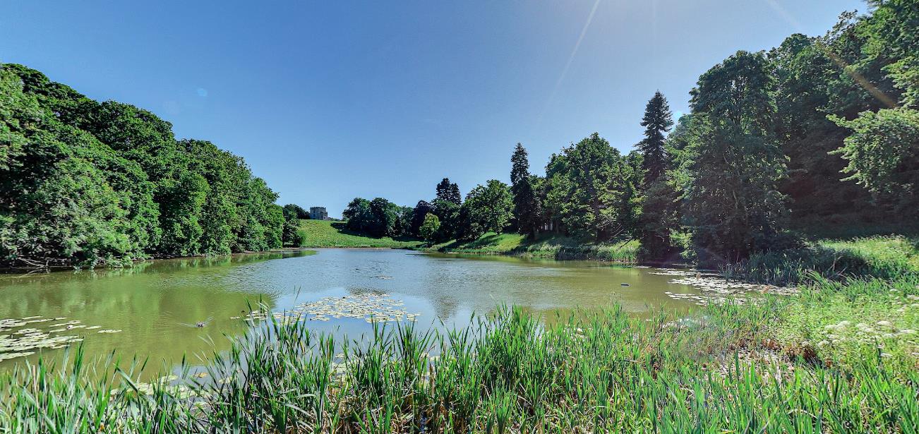 3非学术因素 3非学术因素