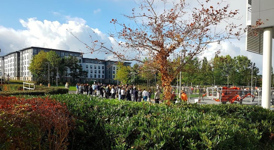 ●购买音乐剧票的主要途径