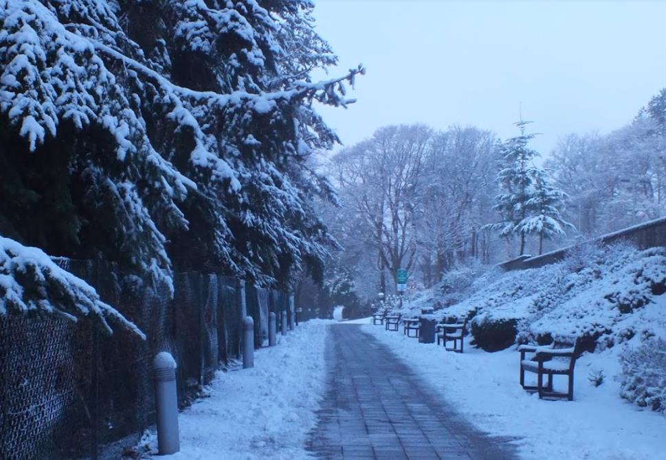 租房合同 租房合同