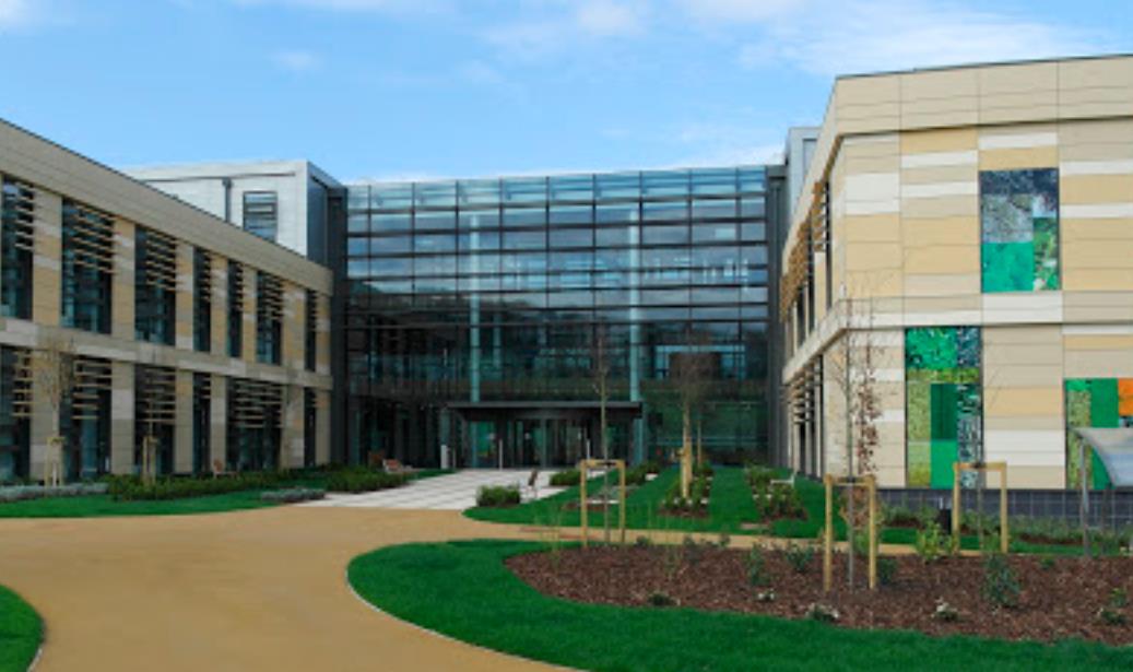 对比:本科和硕士申请的个人陈述