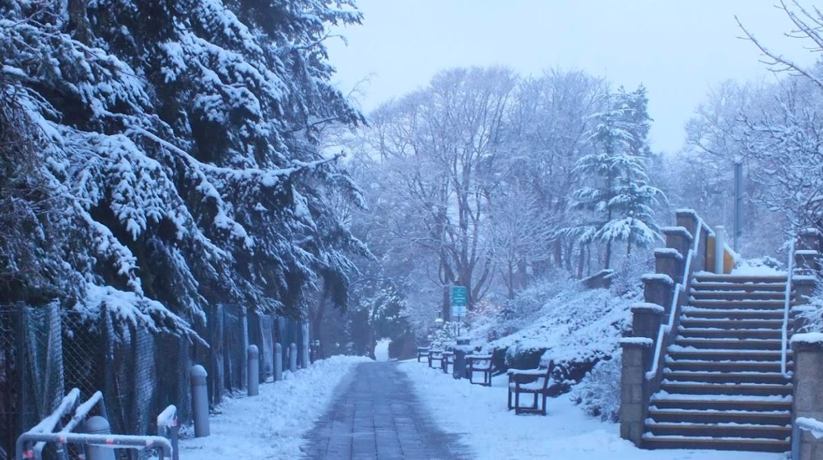 三、实习工作经验谈 三、实习工作经验谈