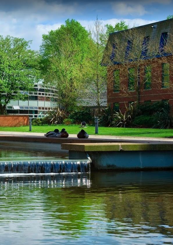 2筹款志愿类 2筹款志愿类