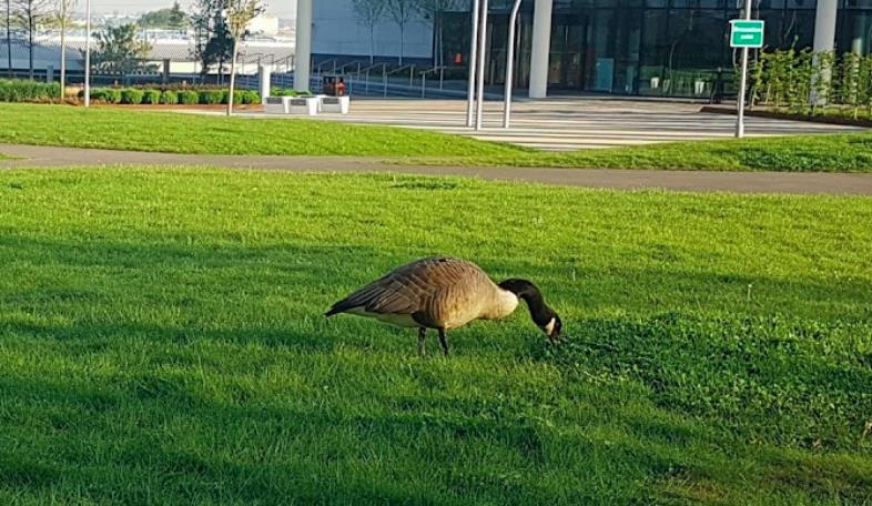 6丰富多彩的假日 6丰富多彩的假日