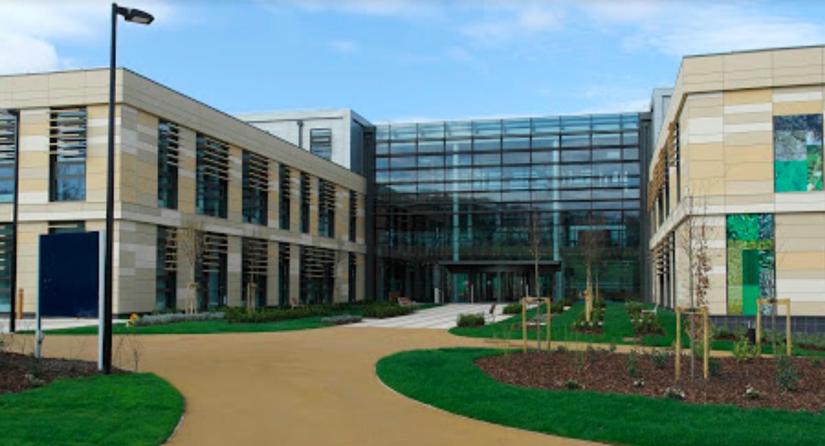 个人陈述的作用