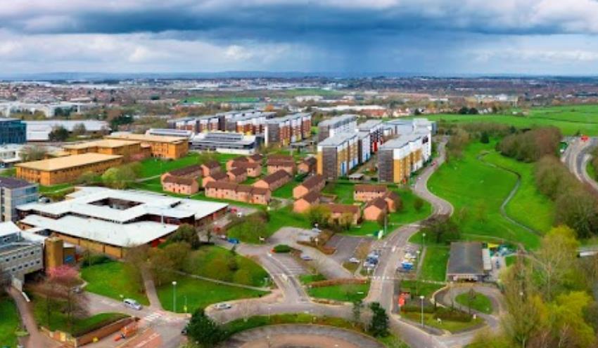 ●我要缴纳社会保险吗?