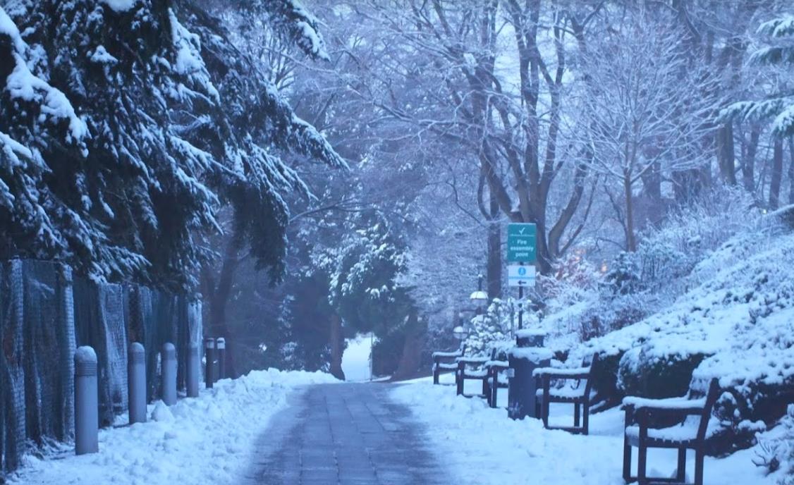 租房广告常见缩略