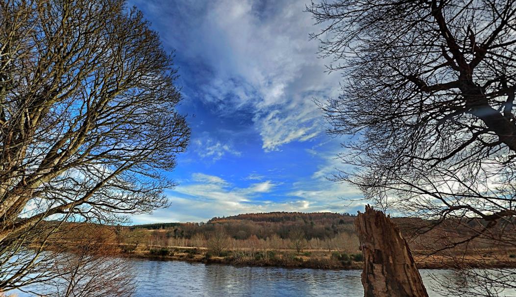 2提供就业信息、建议和指导