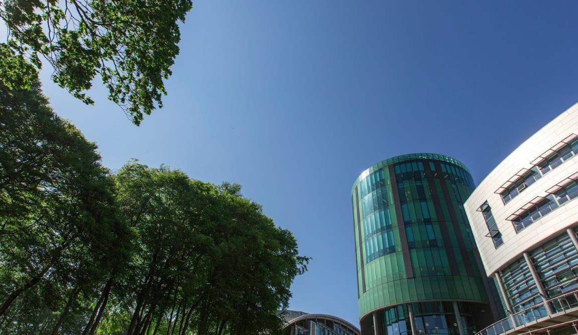 教育部等八部门全面部署加快和扩大新时代教育对外开放 教育部等八部门全面部署加快和扩大新时代教育对外开放