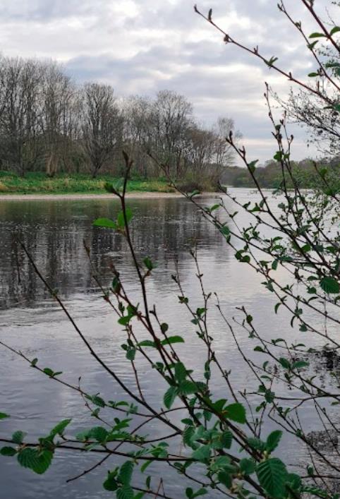 英国的银行机构
