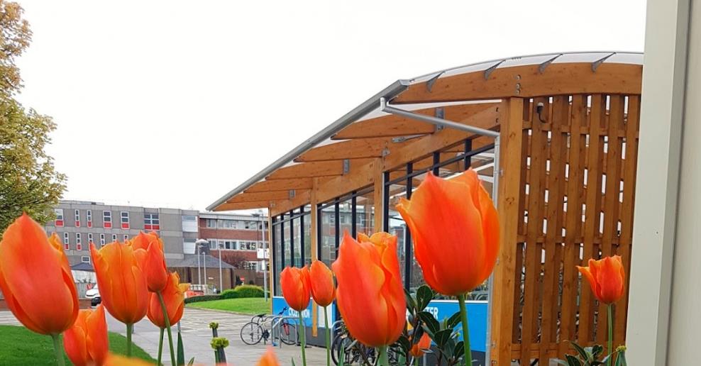 哈吉斯羊杂 哈吉斯羊杂