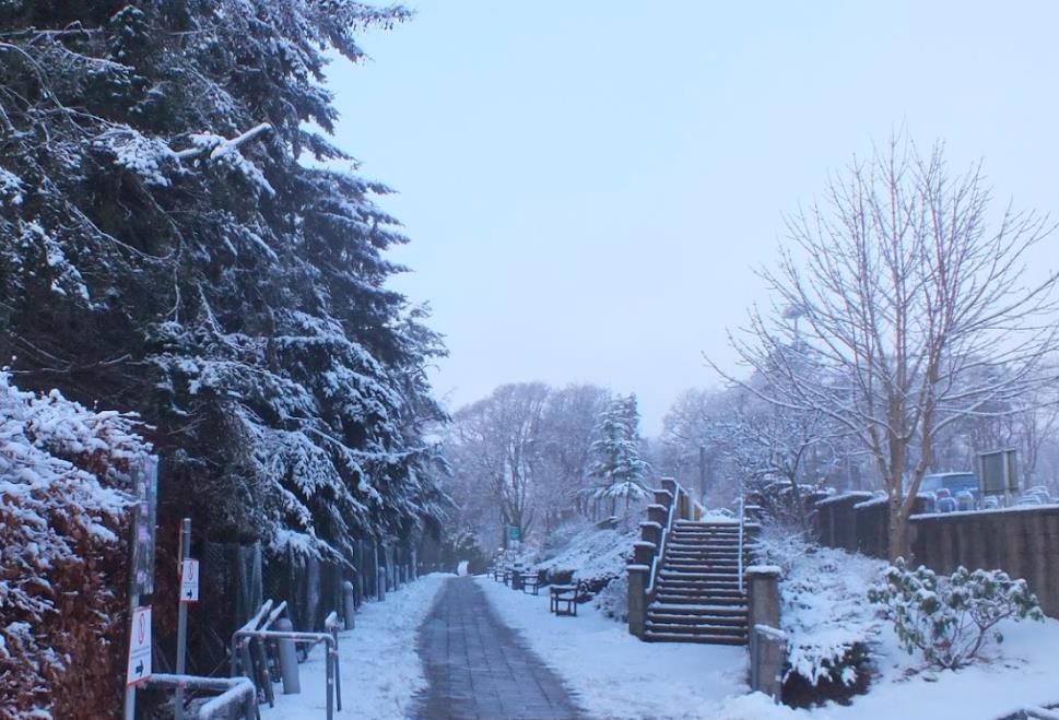 1英国宽带网的种类