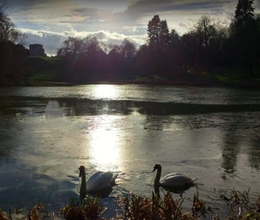心理学与留学业务碰撞灵感六维&rdquo;理念助力择校
