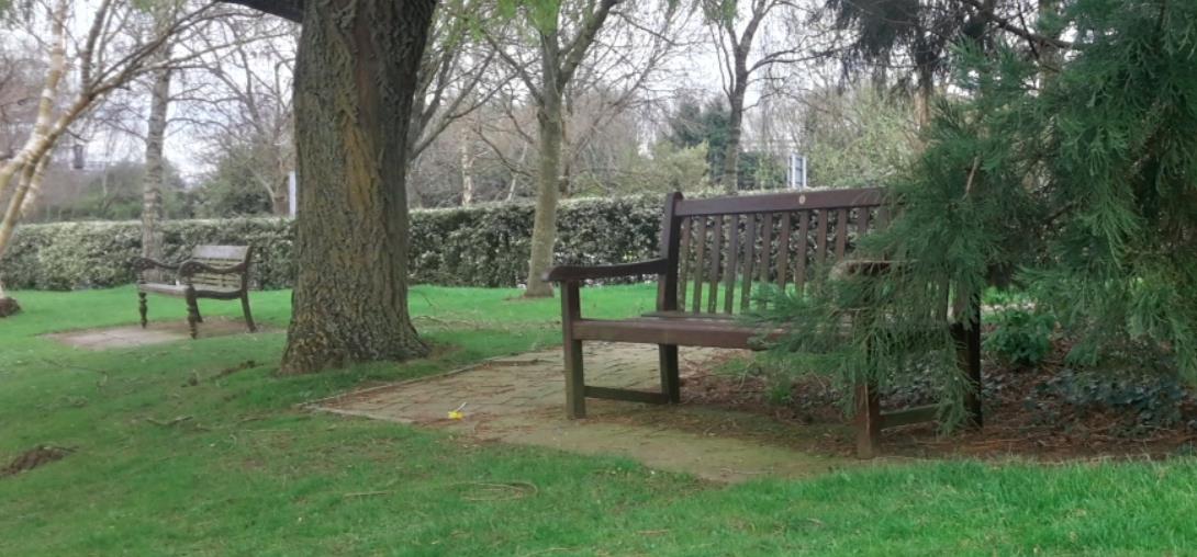 鱼和薯条 鱼和薯条