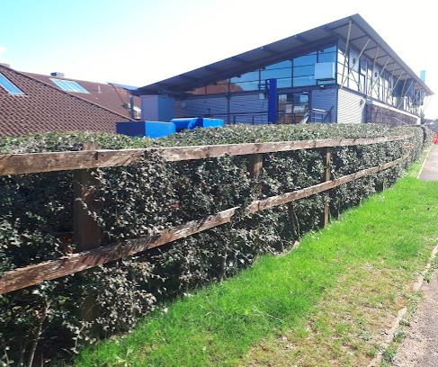 高考之战群雄逐鹿