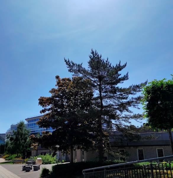 改革趋势下思变求解阴霾散后风景依旧