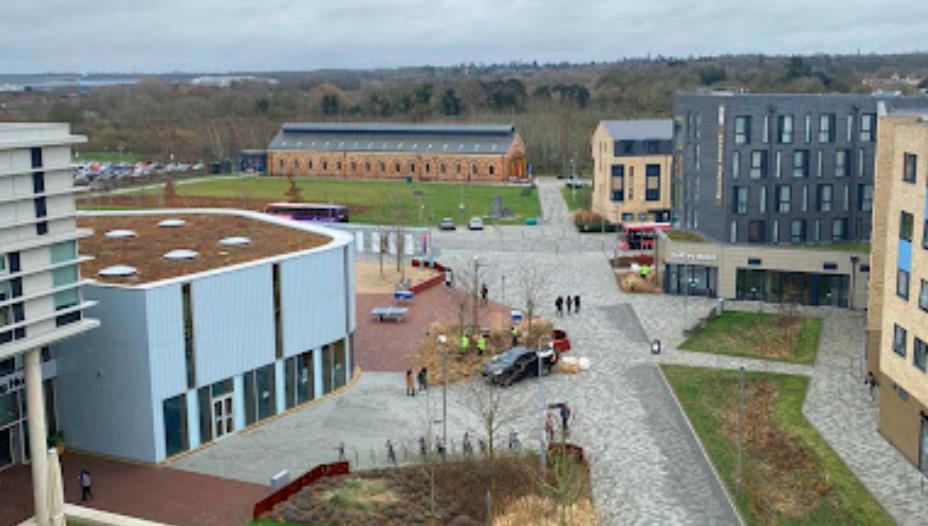 在五大洲落地生根的全球化商学院