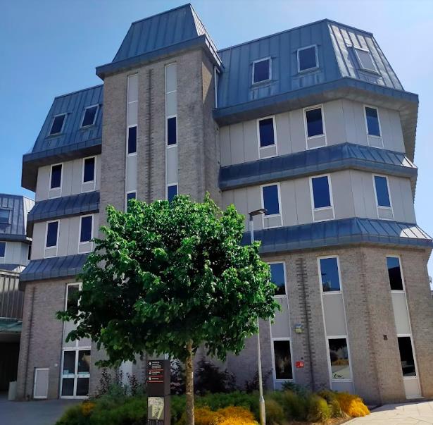 留学生的爱情故事坎坷又甜蜜