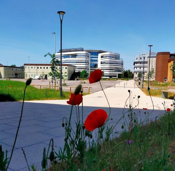 高考推迟如何影响留学