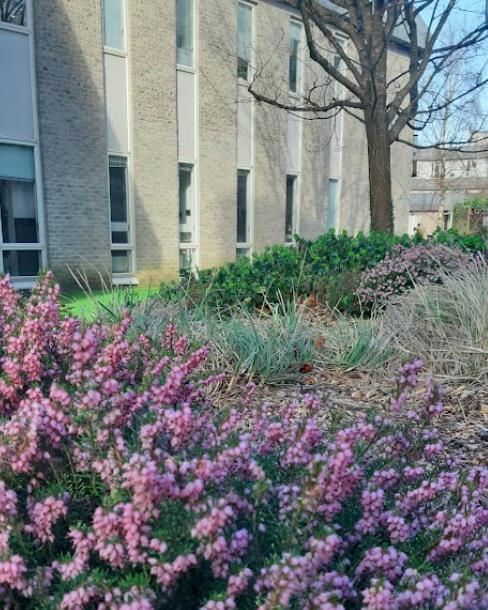 工匠铺教育开展【 What is research科硏启蒙系列公开课第三讲