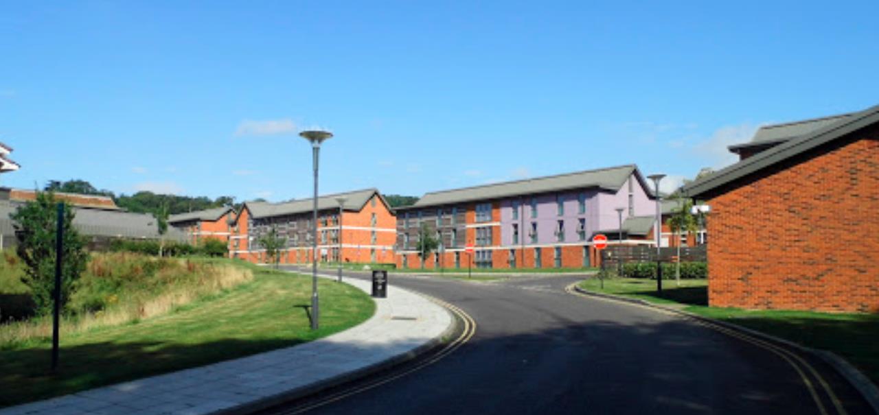 美国奢侈品管理专业就业情况怎么样 美国奢侈品管理专业就业情况怎么样