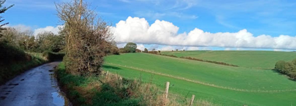 加图立大学学费标准 加图立大学学费标准