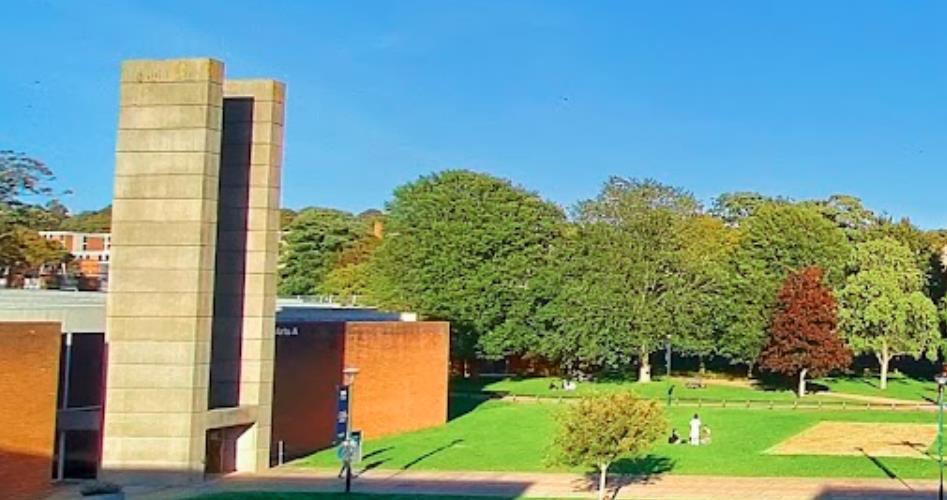 德国柏林医科大学世界排名多少